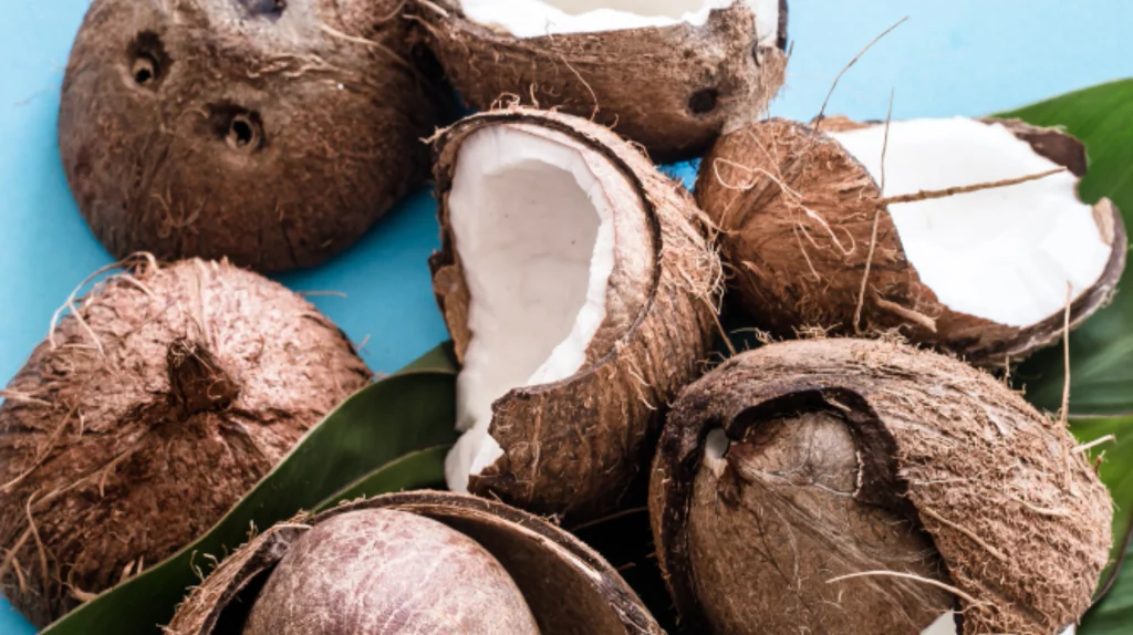 ಕೊಬ್ಬರಿಗೆ ಬಂಪರ್ ಬೆಲೆ, ಇದು ಸಾರ್ವಕಾಲಿಕ ದಾಖಲೆ: Agriculture News, dry Coconut price in Karnataka