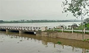  ಪೋಟೋ ತೆಗೆಯುತ್ತೇನೆಂದು ಸೇತುವೆ ತುದಿಗೆ ಪತಿಯನ್ನು ನಿಲ್ಲಿಸಿ ನದಿಗೆ ನೂಕಿದ ಪತ್ನಿ