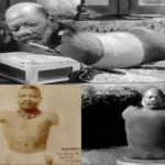 ಮಾನವ ಕಂಬಳಿಹುಳು – ಶಕ್ತಿಯನ್ನು ಮರು ವ್ಯಾಖ್ಯಾನಿಸಿದ ಮನುಷ್ಯ